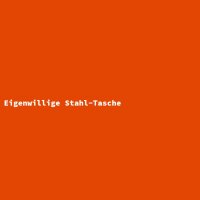 Eigenwillige Stahl-Tasche