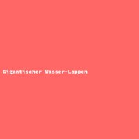 Gigantischer Wasser-Lappen