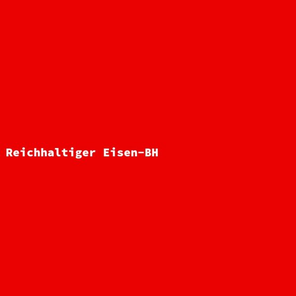 Reichhaltiger Eisen-BH